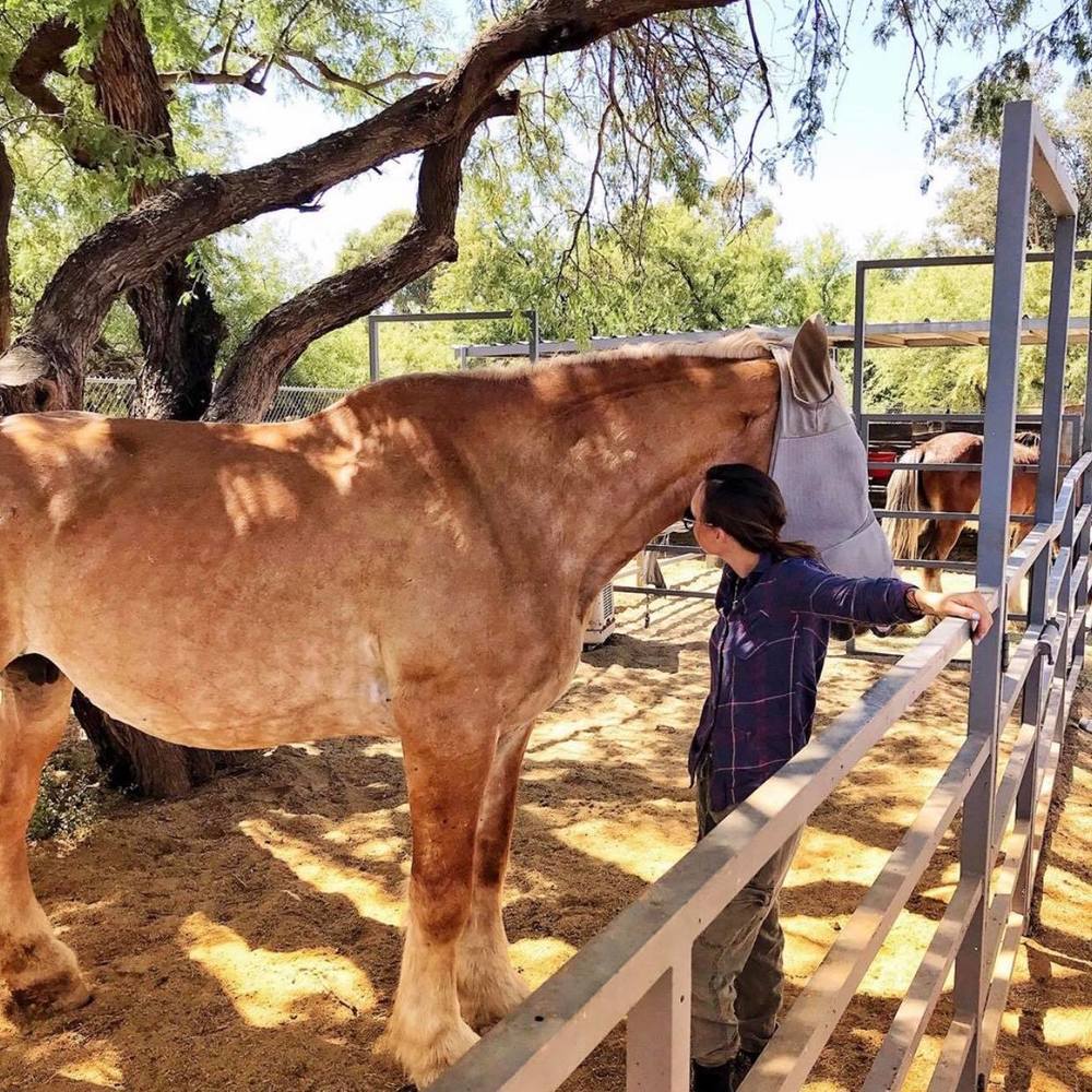 Meet your Posher, Jordan